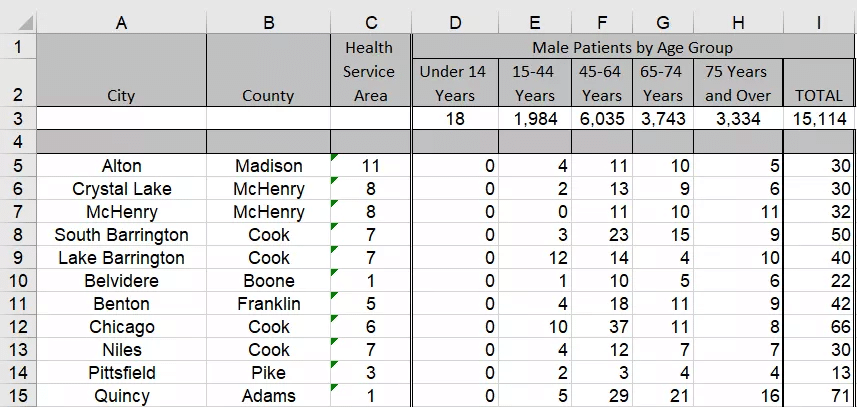 Free Excel Assessment Test sample question