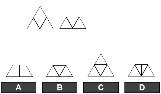 PI PLI cognitive assessment sample question