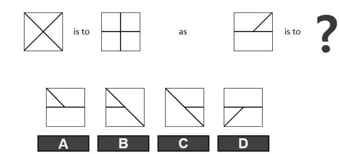 PI PLI cognitive assessment sample question