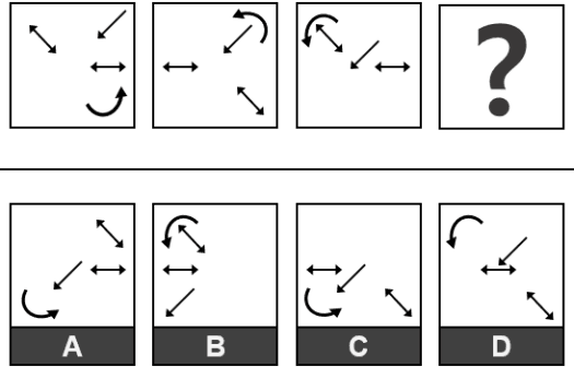 PI PLI cognitive assessment sample question