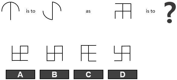 PI PLI cognitive assessment sample question