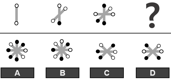 PI PLI cognitive assessment sample question