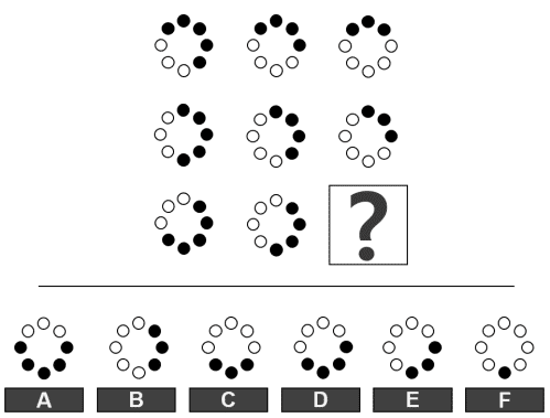 Alva Labs Sample Matrix Questions