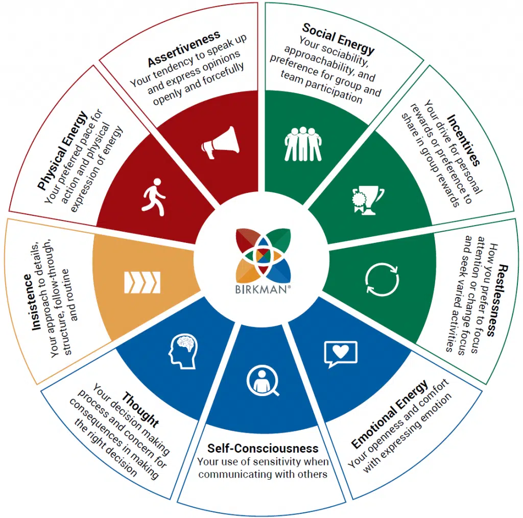 The 9 Components of the Birkman Method